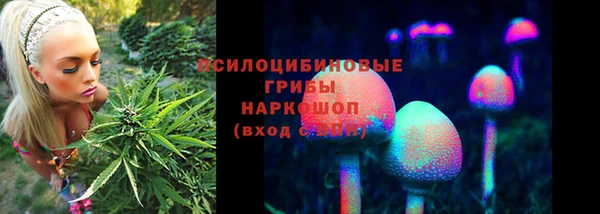 мяу мяу мука Волоколамск