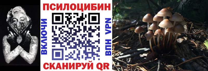 Галлюциногенные грибы MAGIC MUSHROOMS  Купить где  Верхнеуральск 